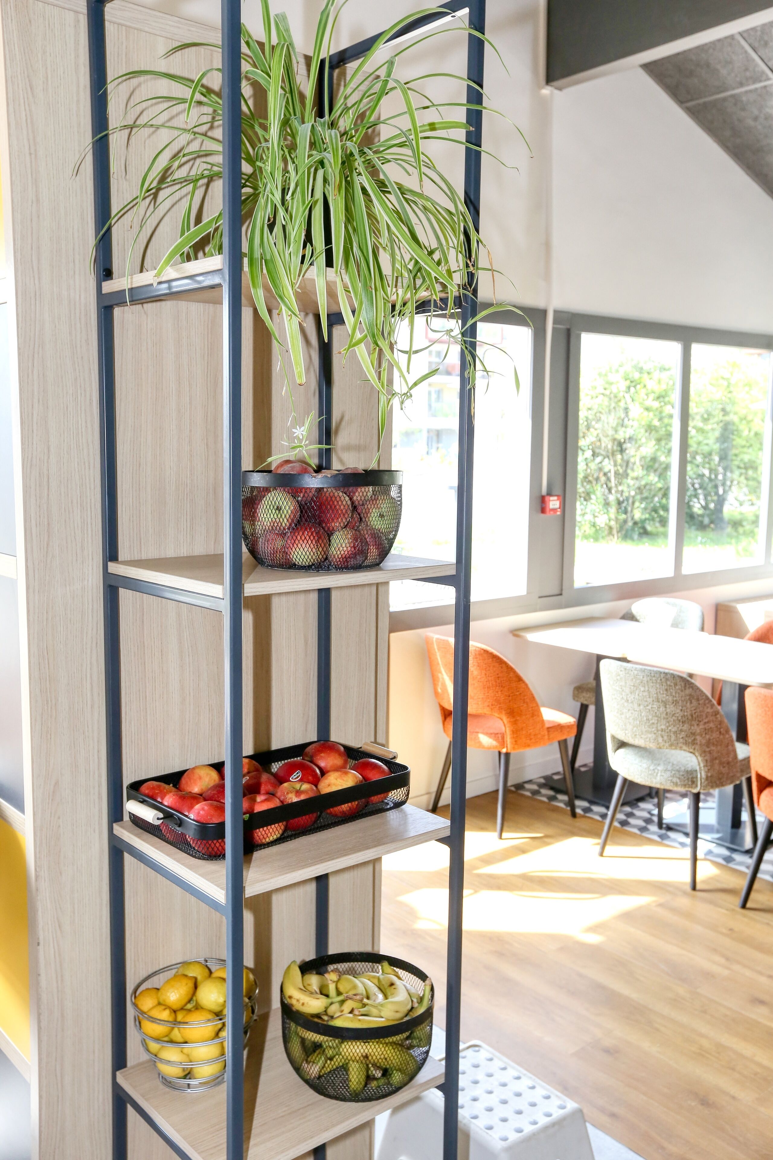 Un intérieur moderne avec une étagère en bois où sont disposés des fruits, une plante en pot et un panier de bananes.