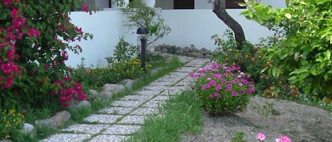 Um jardim com um caminho de pedra que leva a um edifício com fachada branca e janelas escuras.