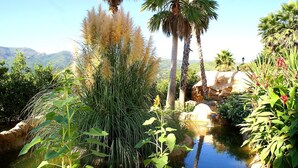 A garden with a pond, various plants, and a rocky landscape. - Hôtel Spa Restaurant l'Ostella (Bastia)