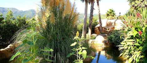 Un jardin avec un étang, différentes espèces de plantes et un paysage rocheux.