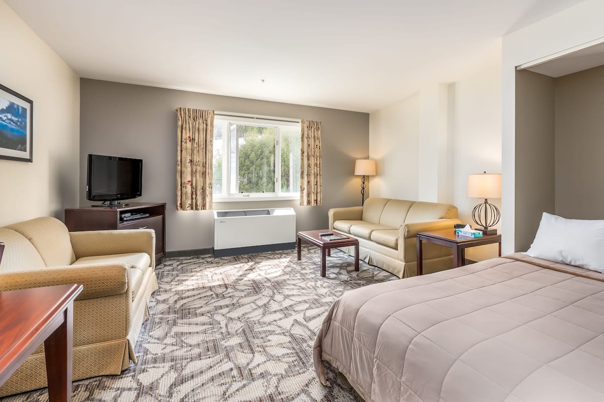 A hotel room with a bed, a sofa, a chair, a TV, a lamp, and a window with curtains.