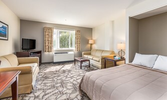 A hotel room with a bed, a sofa, a chair, a TV, a lamp, and a window with curtains.