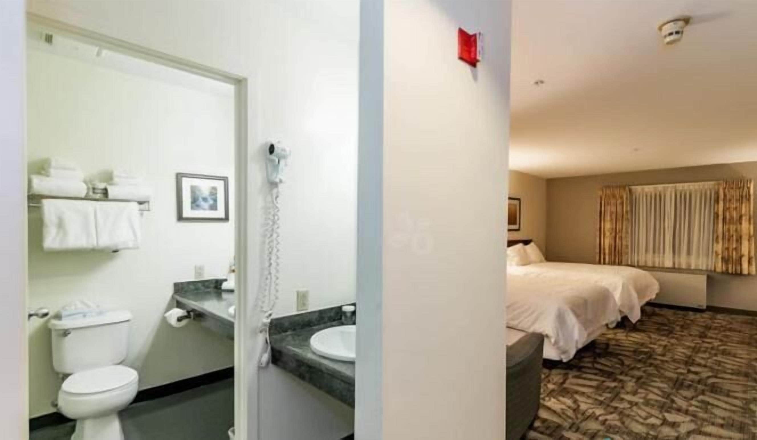 standard room | 1 bedroom, desk, iron/ironing board, free wifi