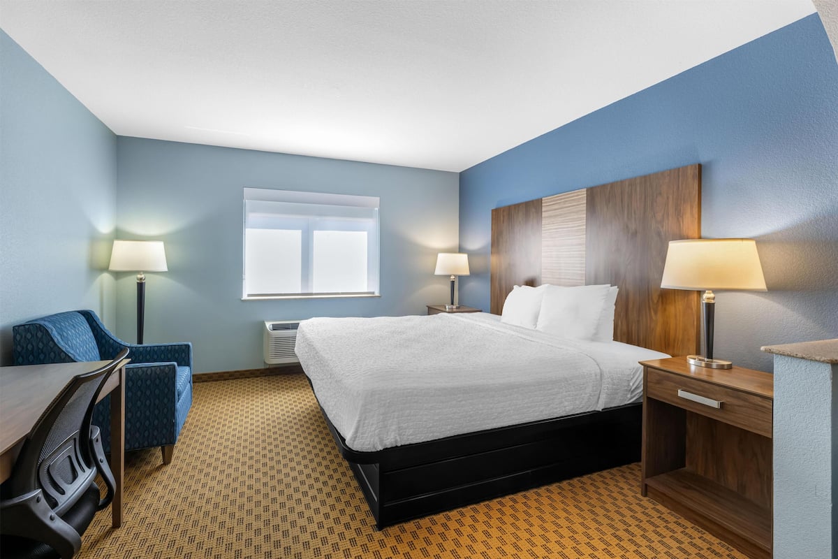 Executive Suite, 1 King Bed, Non Smoking, Refrigerator & Microwave (with Sofabed)