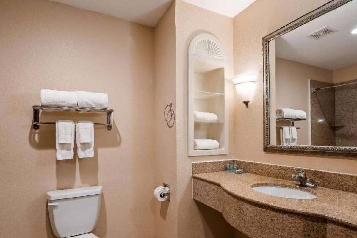 Bathroom | Combined shower/tub, free toiletries, hair dryer, towels