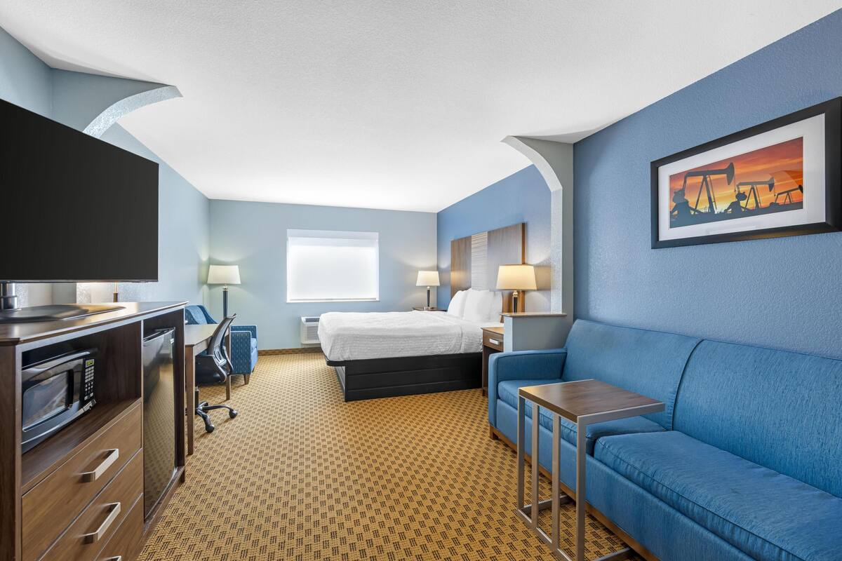 A hotel room with a bed, a sofa, a desk, a TV, and a microwave.