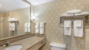 Une salle de bain équipée d’un lavabo, d’un miroir, d’un porte-serviettes et de toilettes.