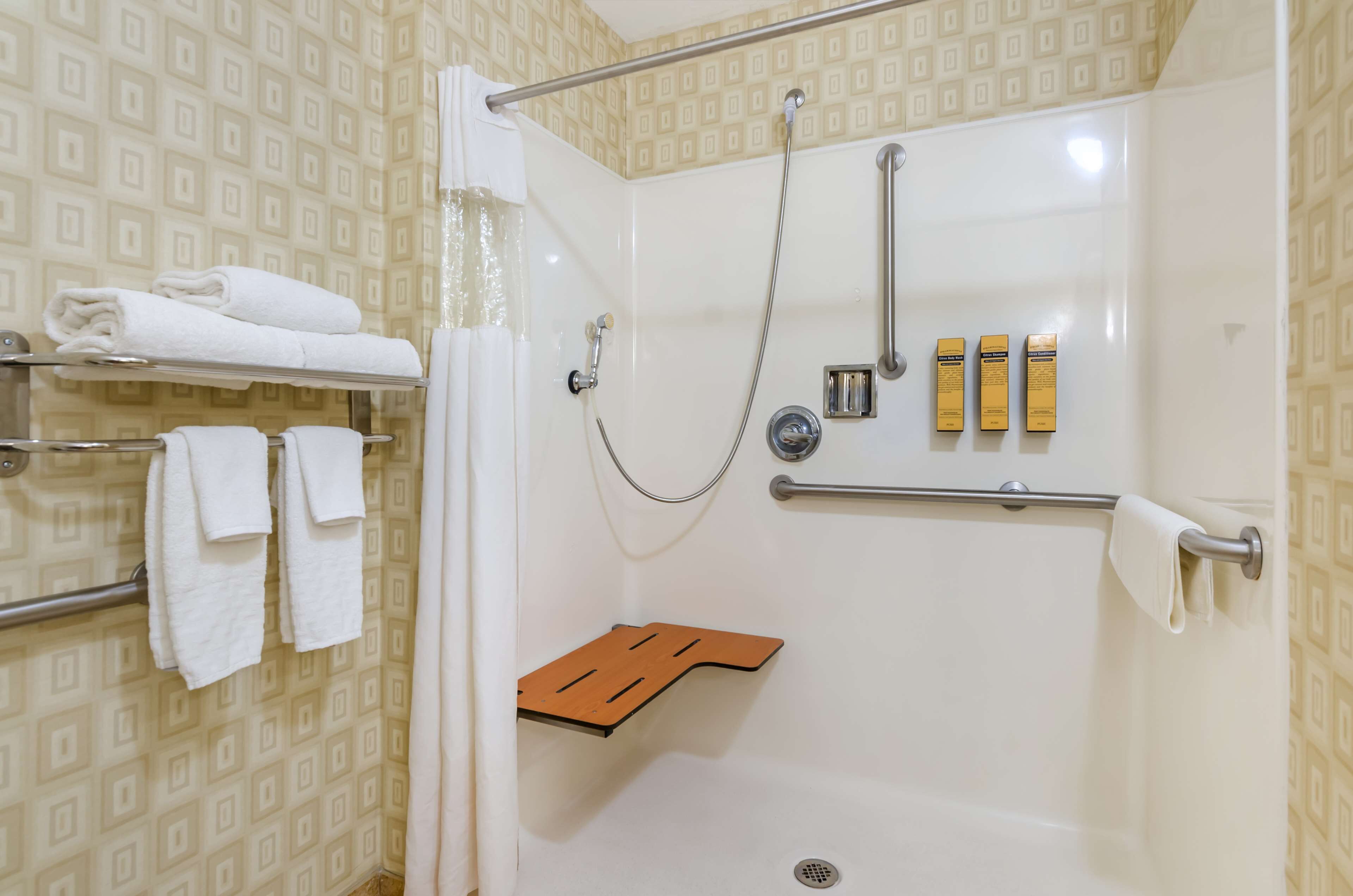 standard room, 1 king bed, accessible, non smoking | bathroom | hair dryer, towels, soap, shampoo