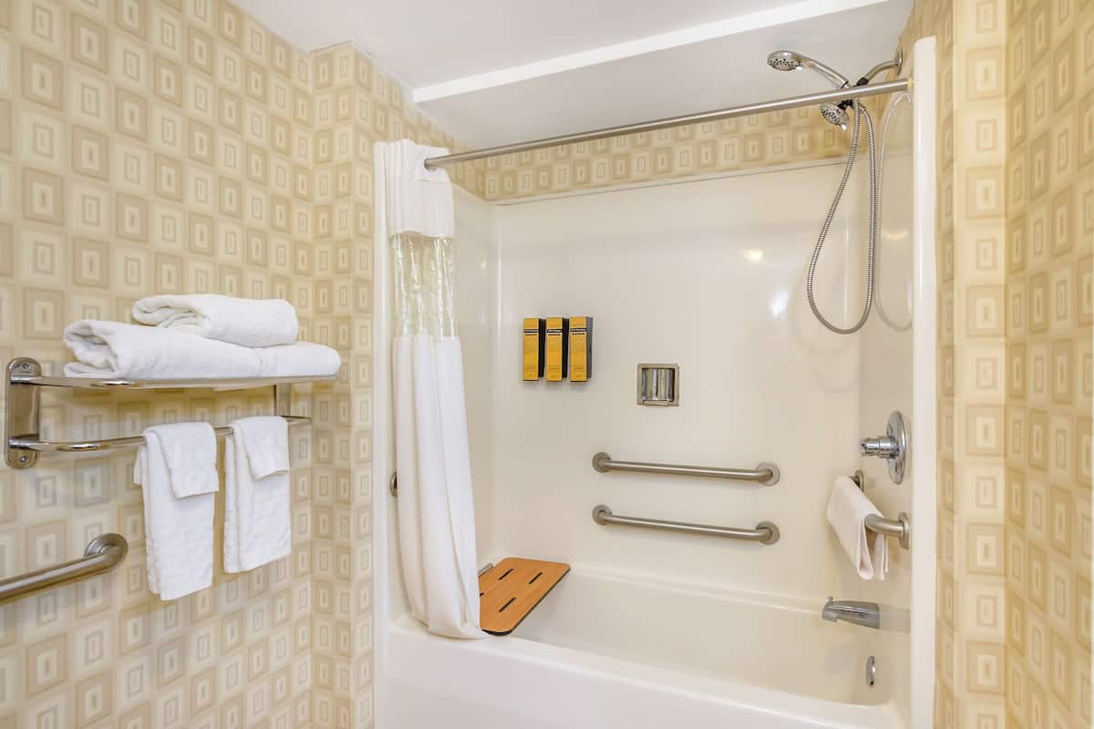 hair dryer, towels, soap, shampoo