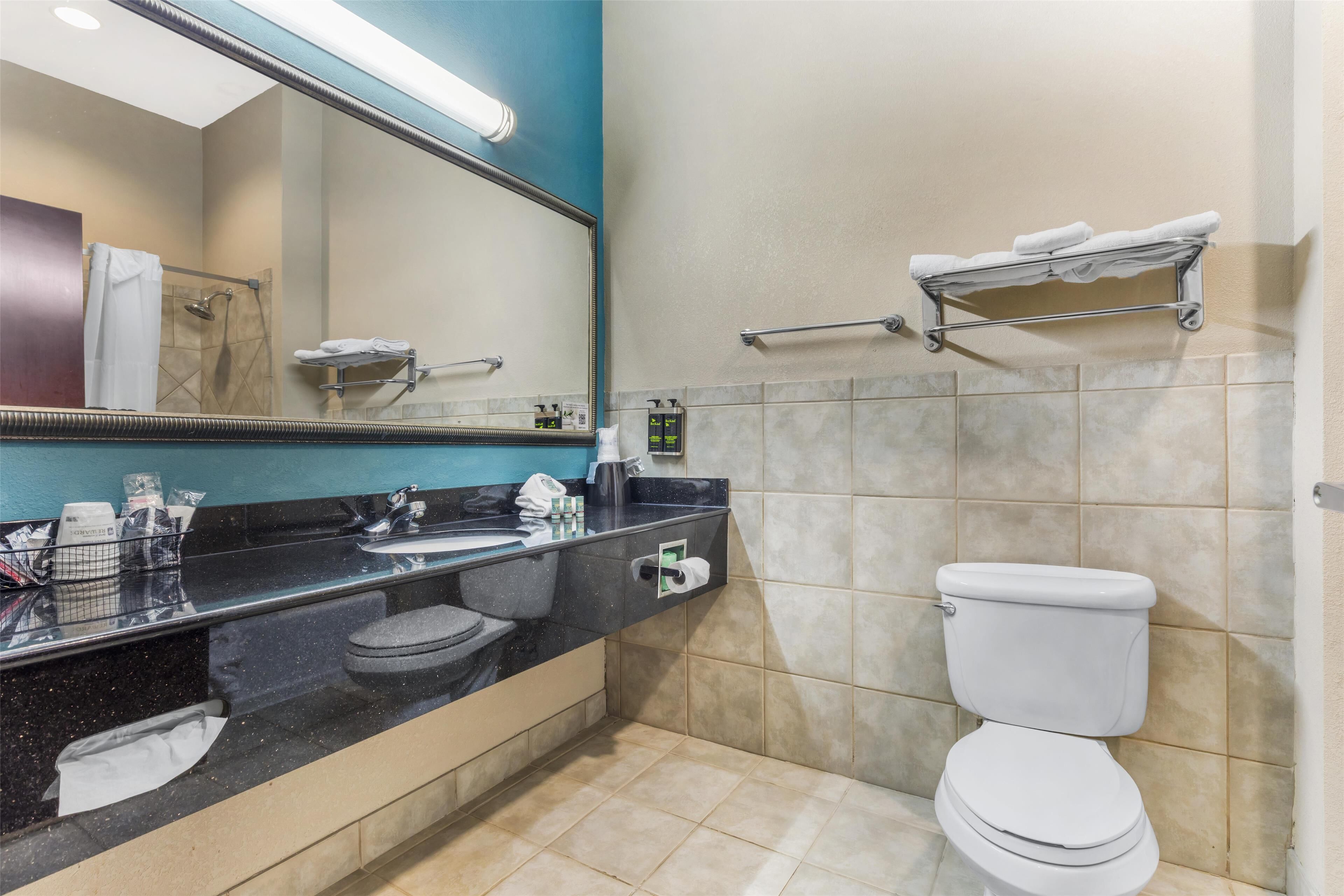 suite, 1 king bed, non smoking, jetted tub | bathroom | free toiletries, hair dryer, towels, toilet paper