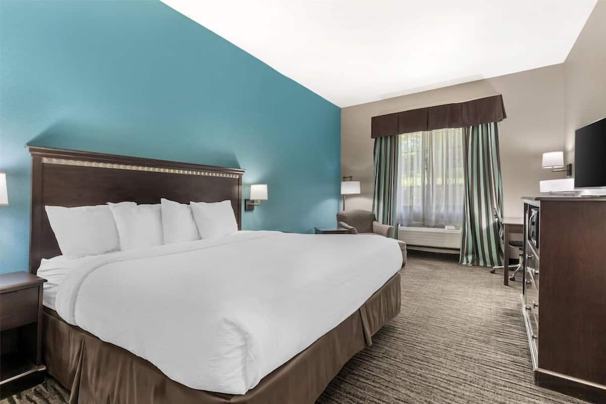 A hotel room with a large bed, a desk, a chair, and a television.