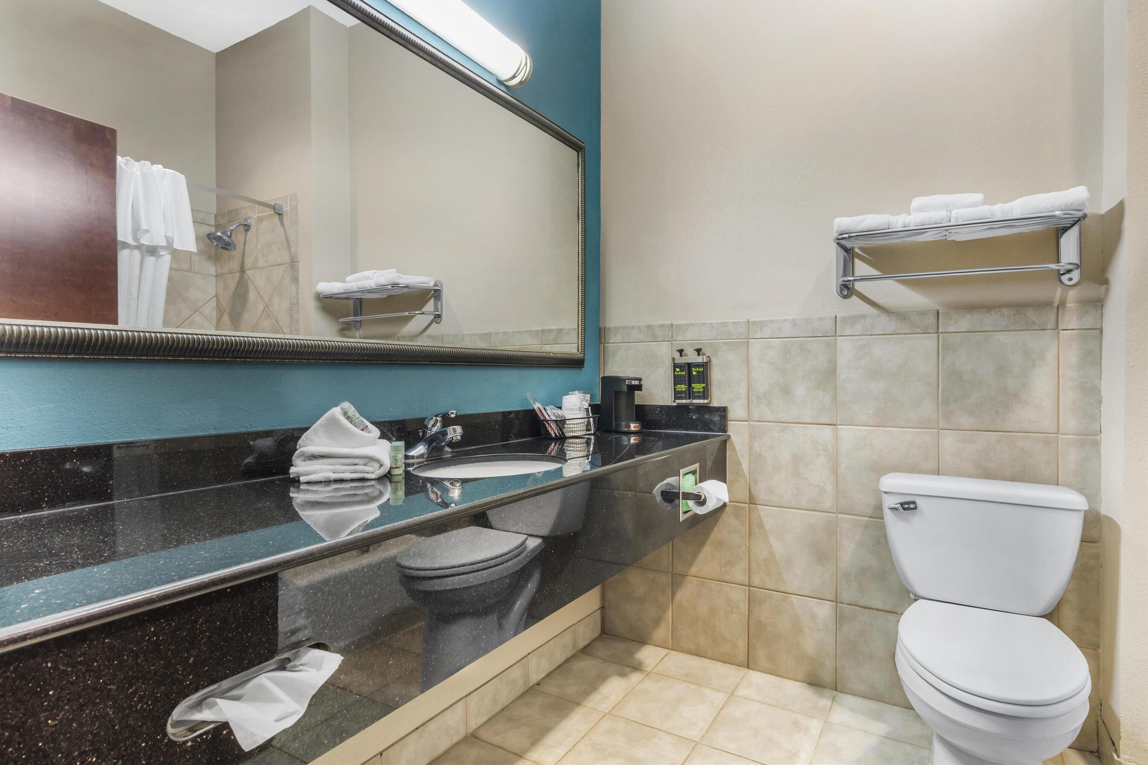 standard room, 1 king bed, non smoking, refrigerator & microwave | bathroom | free toiletries, hair dryer, towels, toilet paper