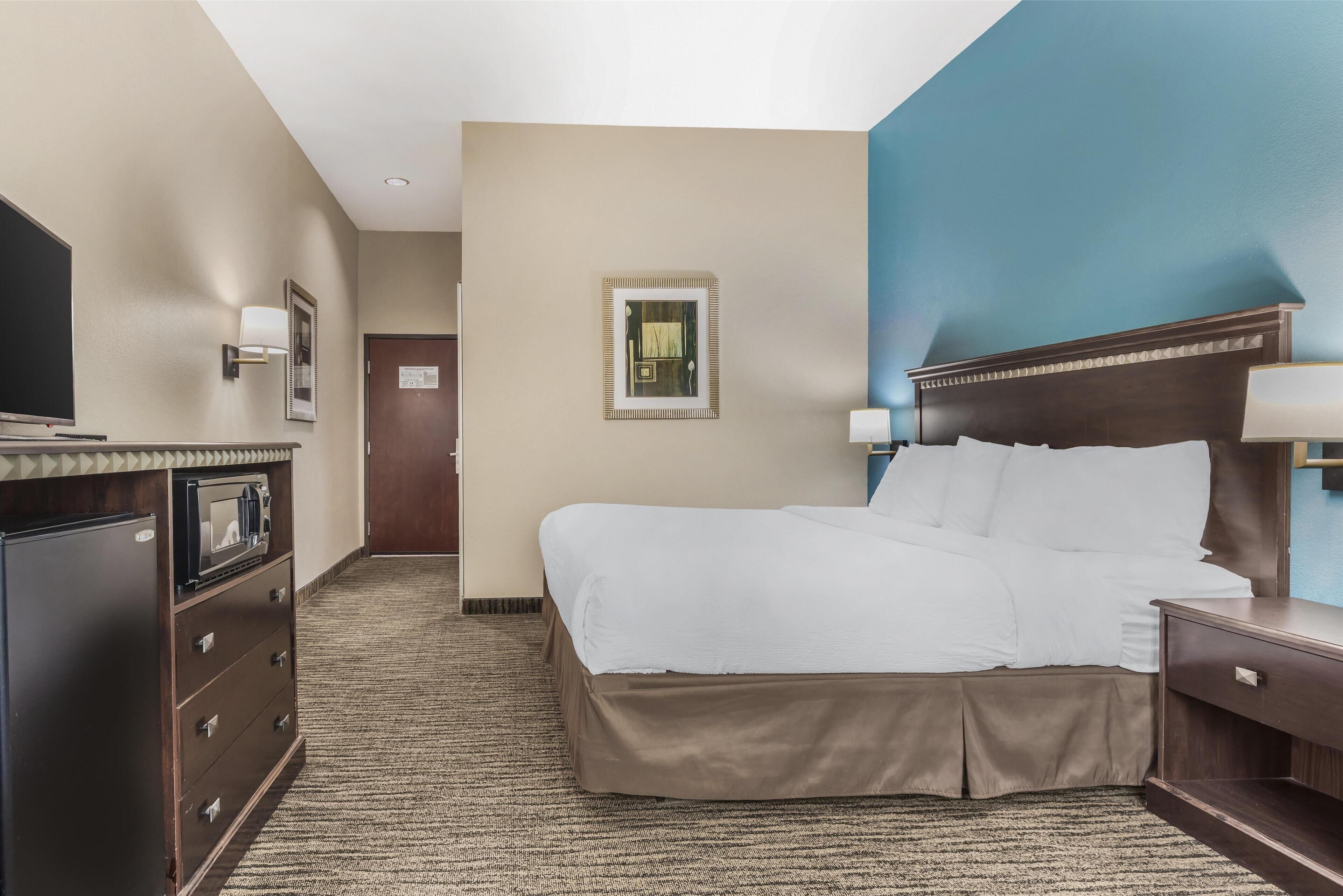 standard room, 1 king bed, non smoking, refrigerator & microwave | 1 bedroom, iron/ironing board, free wifi, bed sheets