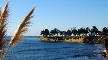 A coastal view with a rocky shoreline, a clear blue sky, and a row of buildings with a green hill in the background.