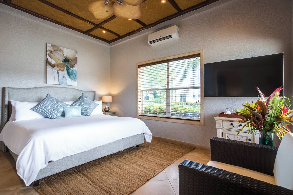 A bedroom with a bed, bedside table, lamp, TV, window, and a decorative plant.