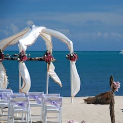 Outdoor wedding area