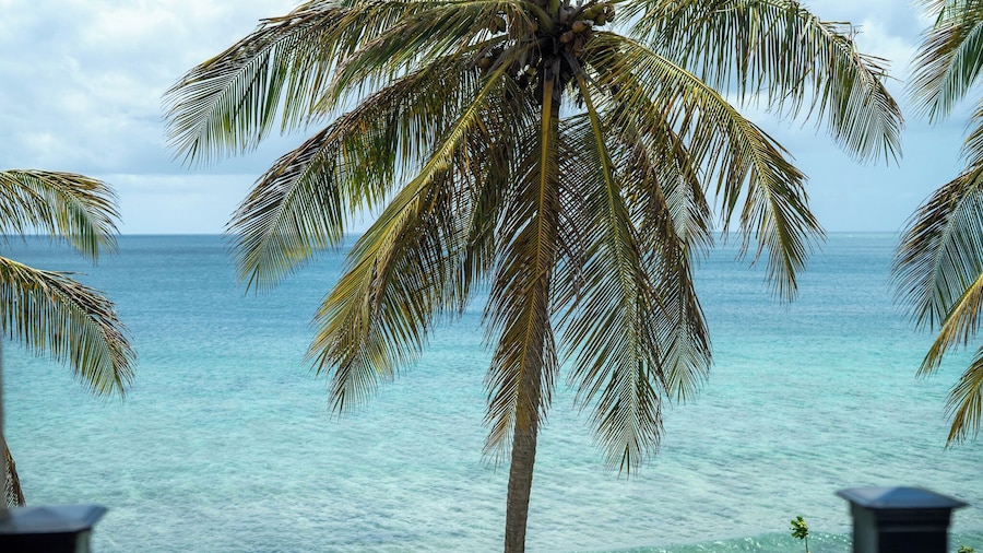 Tropikist Beach Hotel & Resort