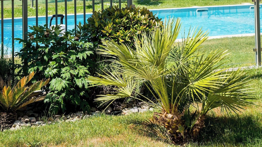 Best Western Plus Clos Syrah