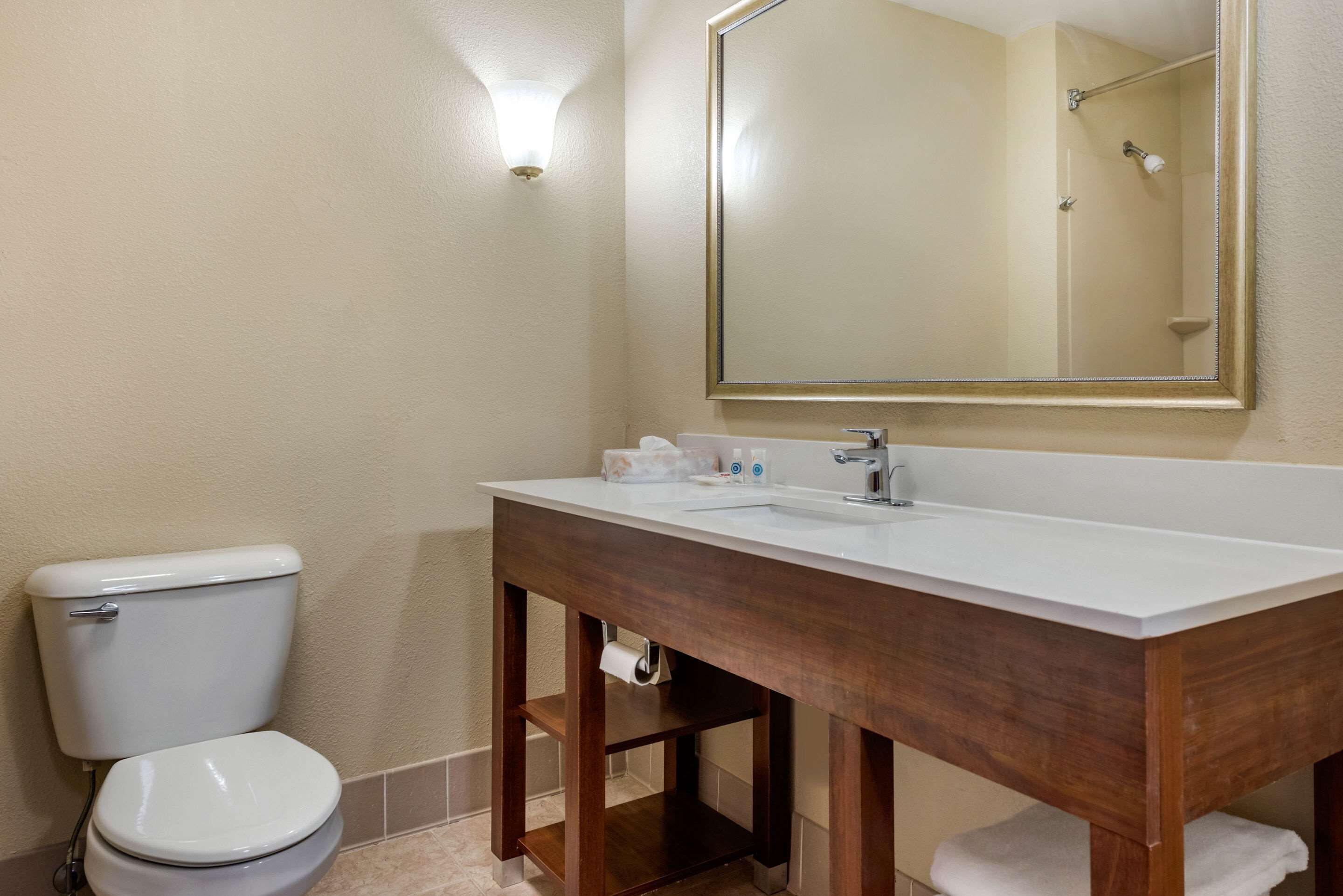 combined shower/bathtub, hair dryer, towels