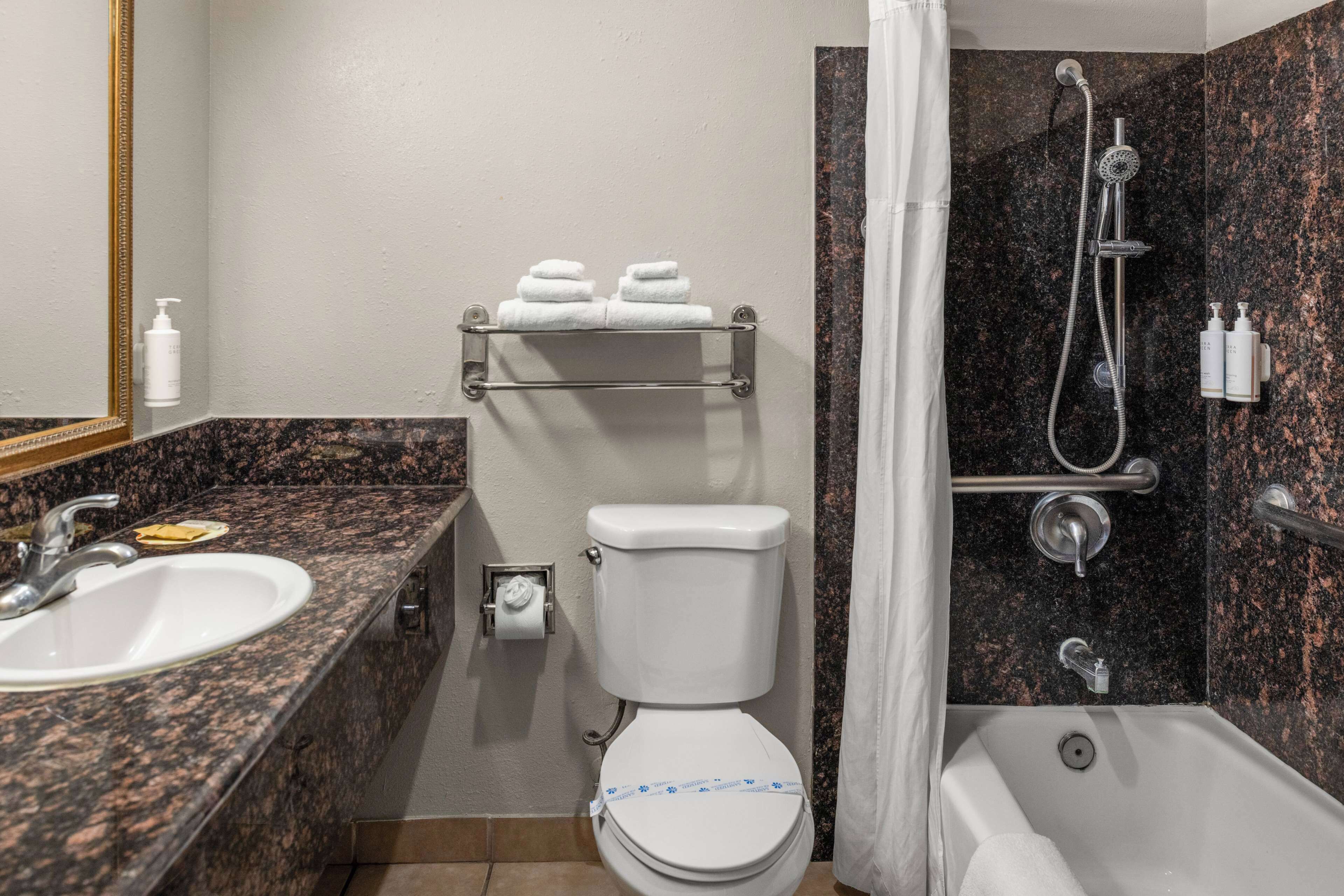 Combined shower/tub, free toiletries, hair dryer, towels