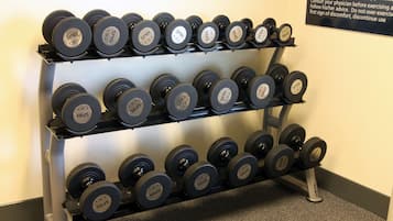 A set of adjustable dumbbells on a rack.