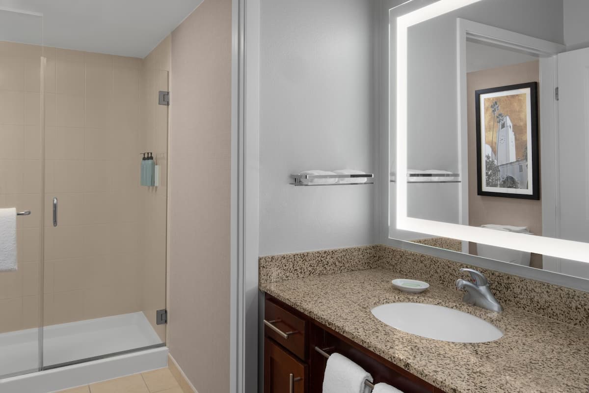 combined shower/bathtub, free toiletries, hair dryer, towels