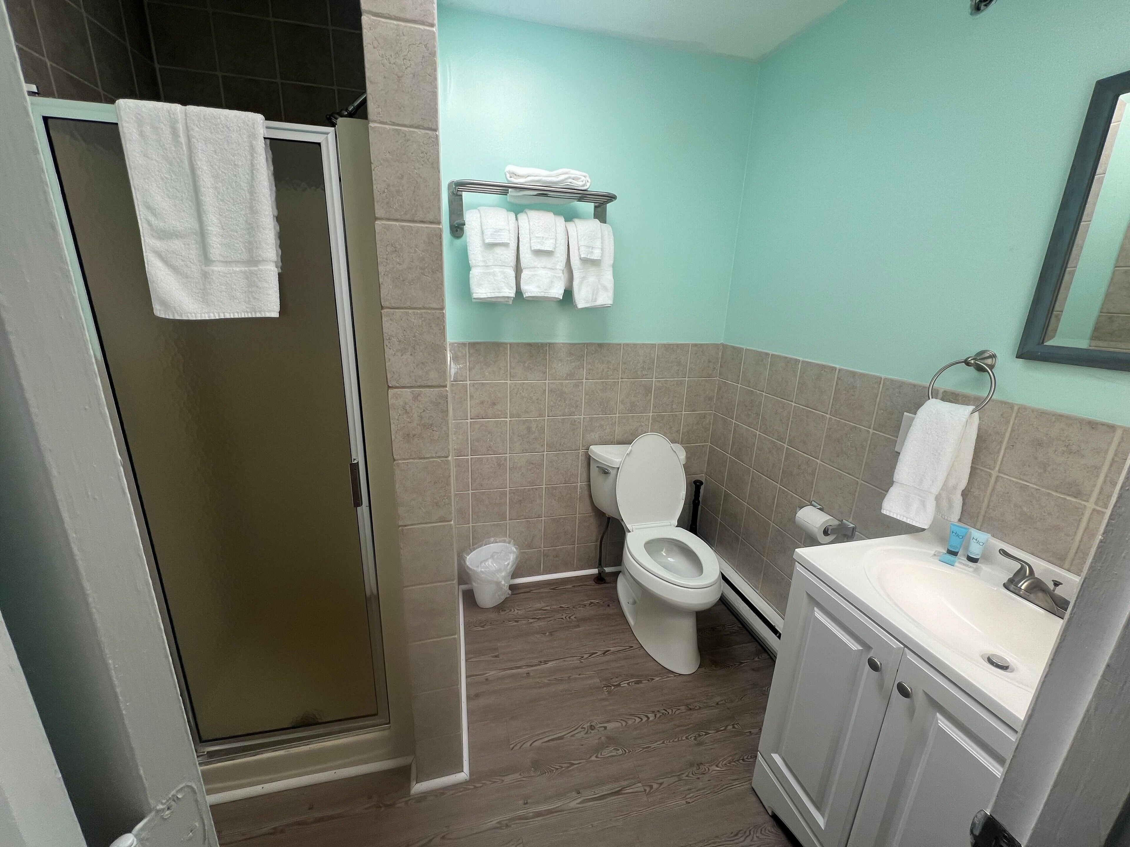 A bathroom with a shower, toilet, and sink.