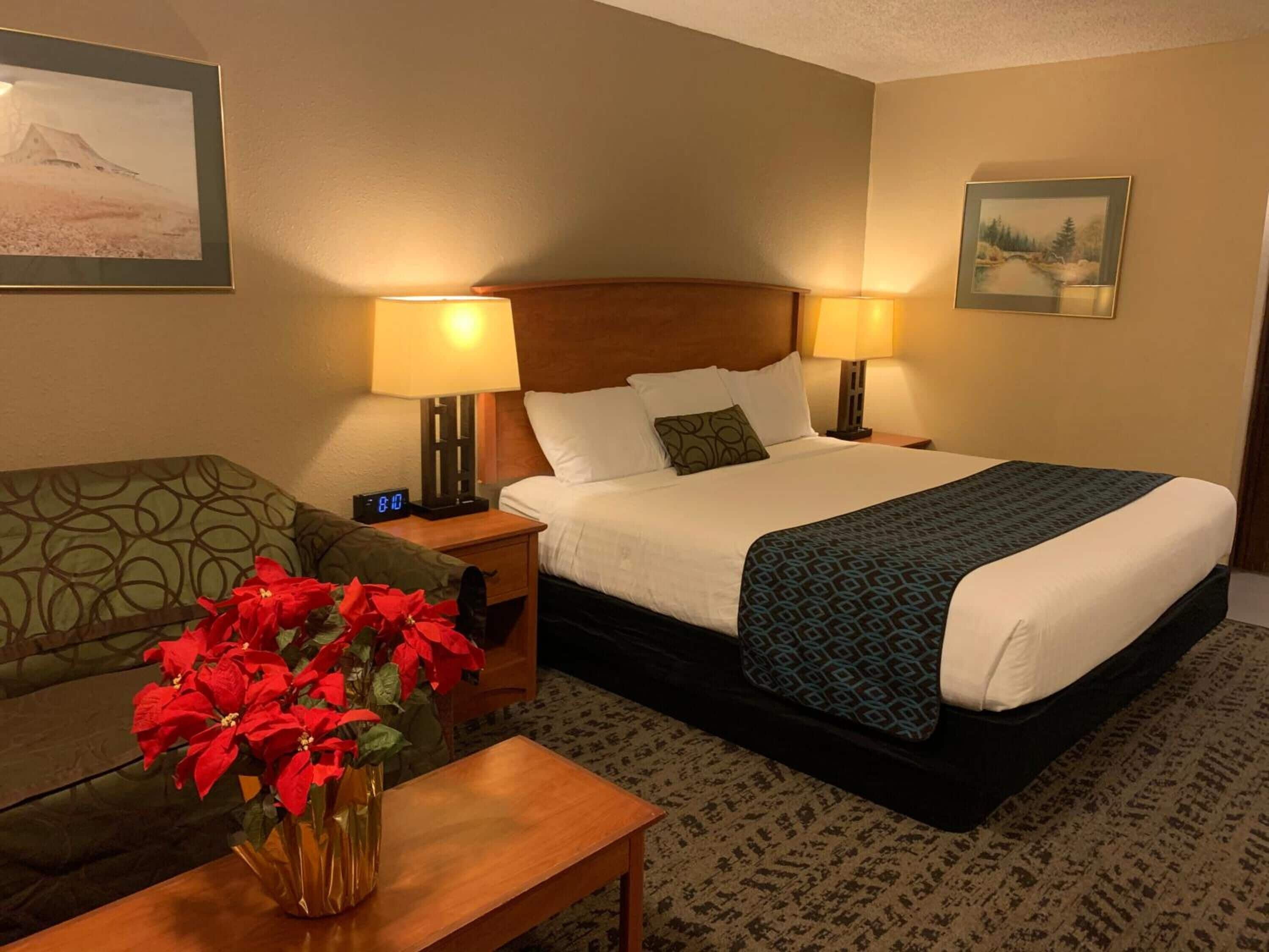 Desk, iron/ironing board, free WiFi, bed sheets