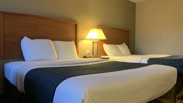 Una habitació d'hotel amb dos llits, cadascun amb roba de llit blanca i una manta estampada fosca. Hi ha una tauleta de nit amb una làmpada entre els llits.
