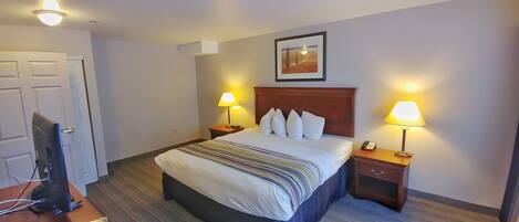 Habitación de hotel con cama, dos lámparas de noche, un televisor y un cuadro en la pared.