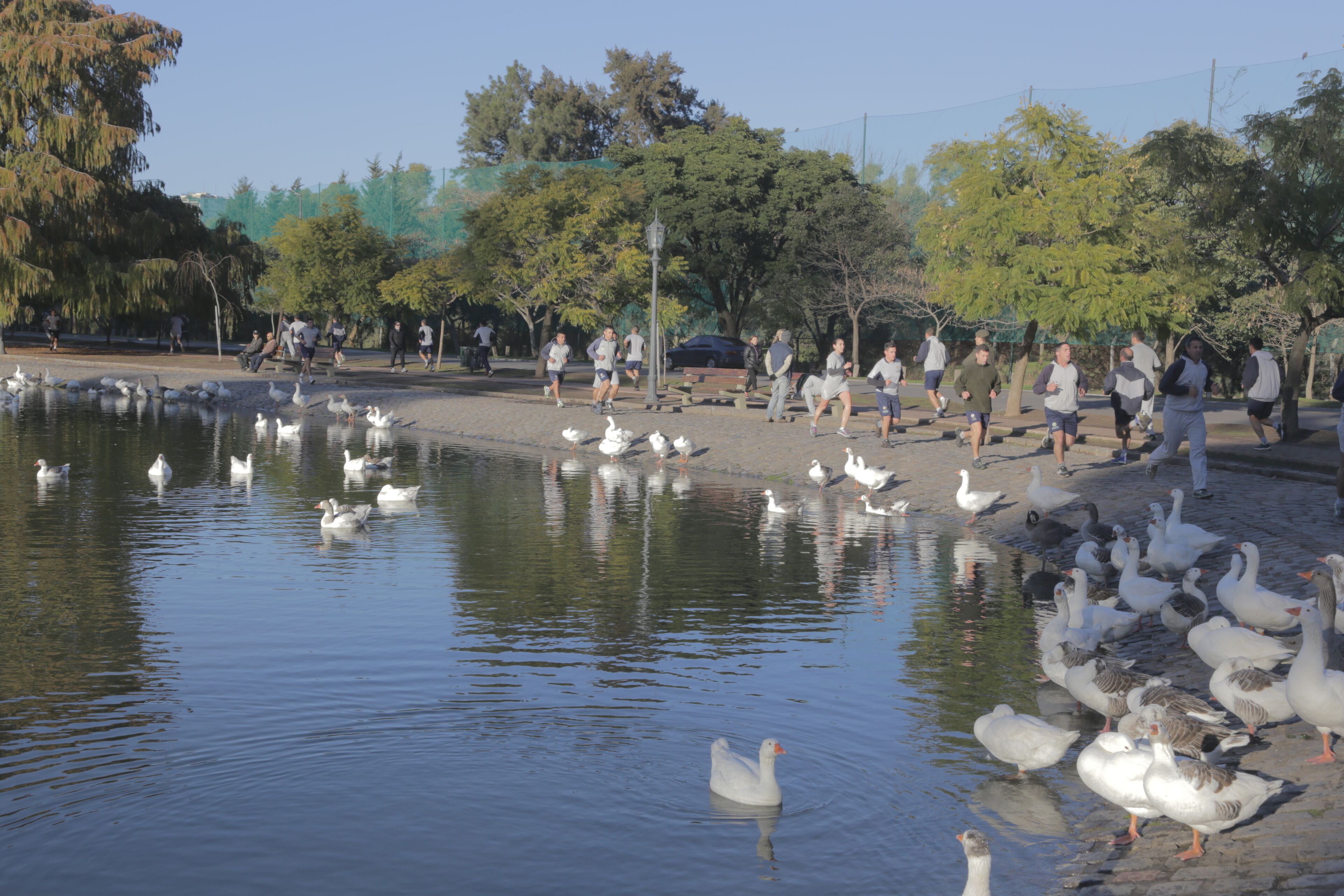 Un parco con uno stagno, anatre e persone che passeggiano.