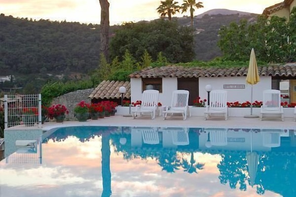 Outdoor pool, pool loungers