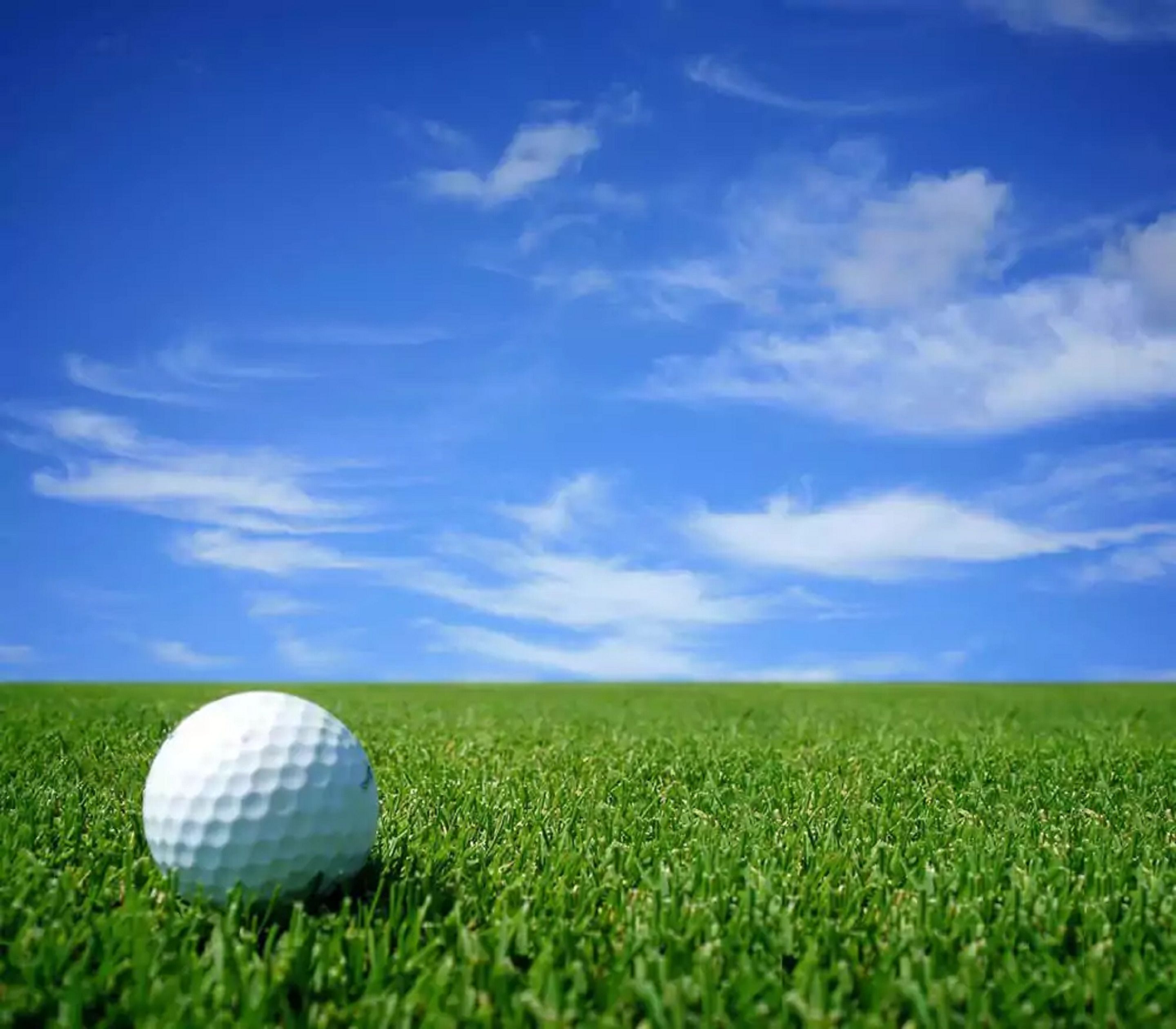 Una pallina da golf su un campo verde con un cielo blu limpido.