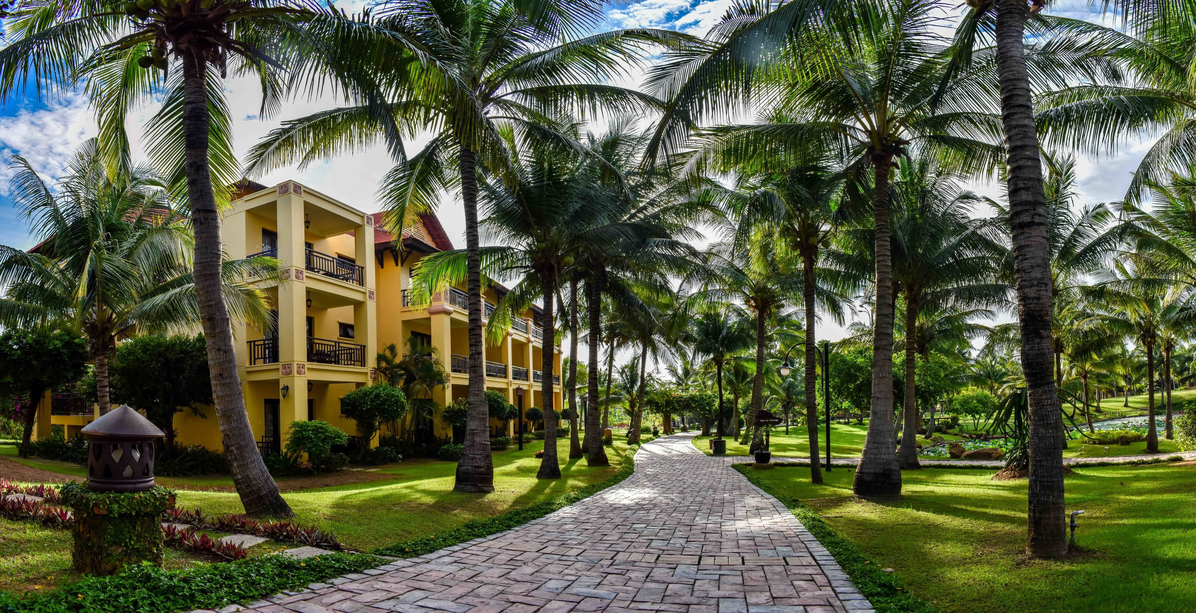 A pathway lined with palm trees leading to a yellow building with balconies.
