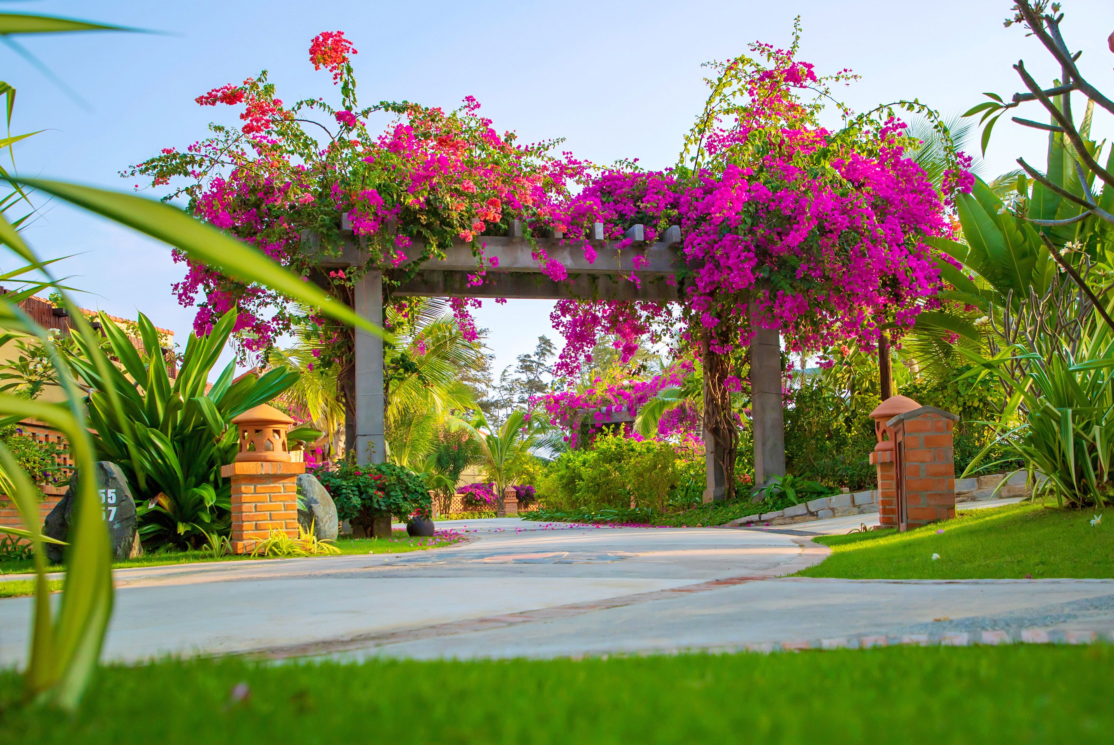 Garten