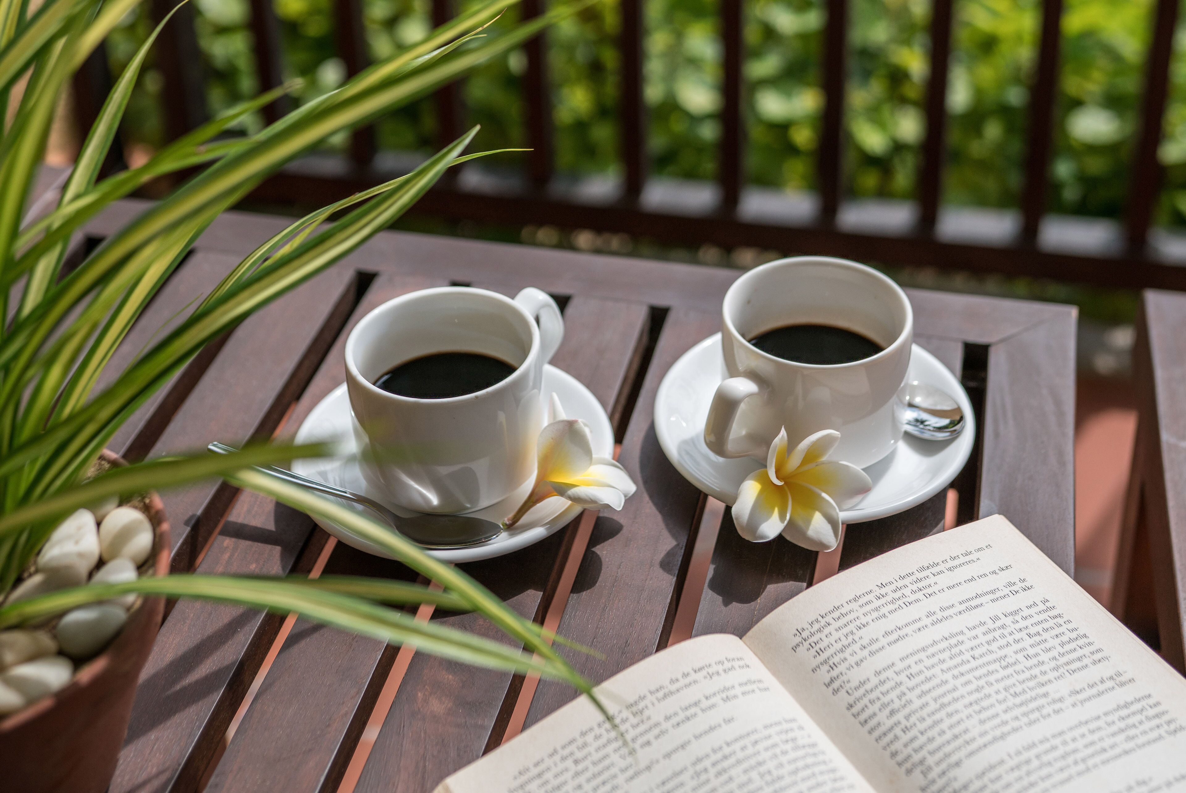 Two white cups of coffee on a wooden table with a book and a potted plant.