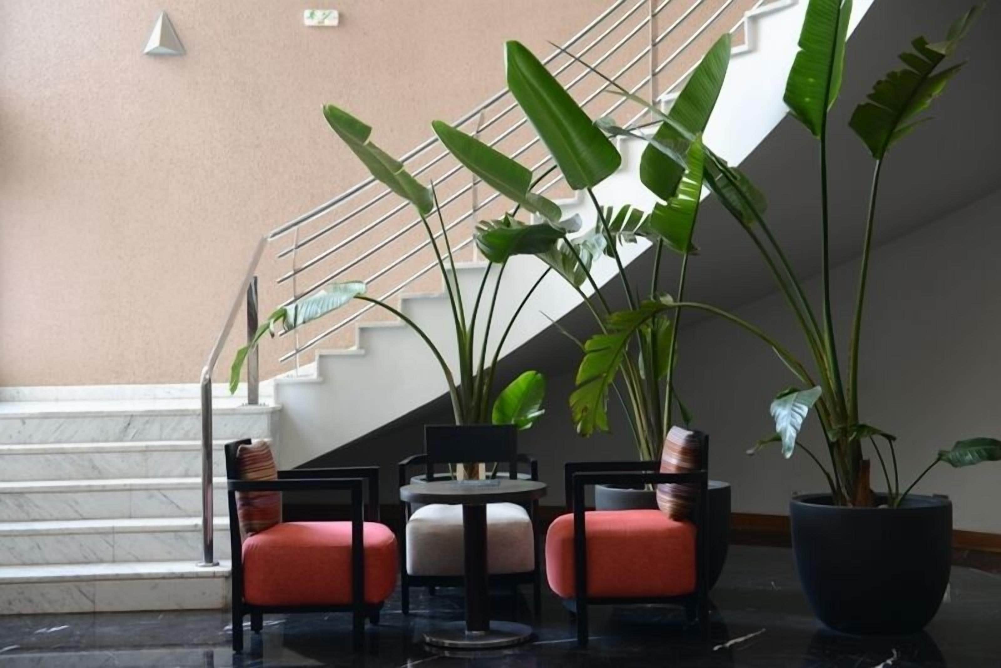 A seating area with three chairs and a table, surrounded by large potted plants.