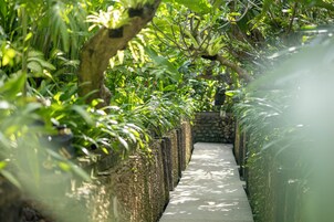 A concrete pathway flanked by dense foliage and stone walls, leading through a lush, green environment.