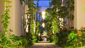 Un étroit sentier bordé d’une végétation luxuriante et d’une façade d’immeuble.