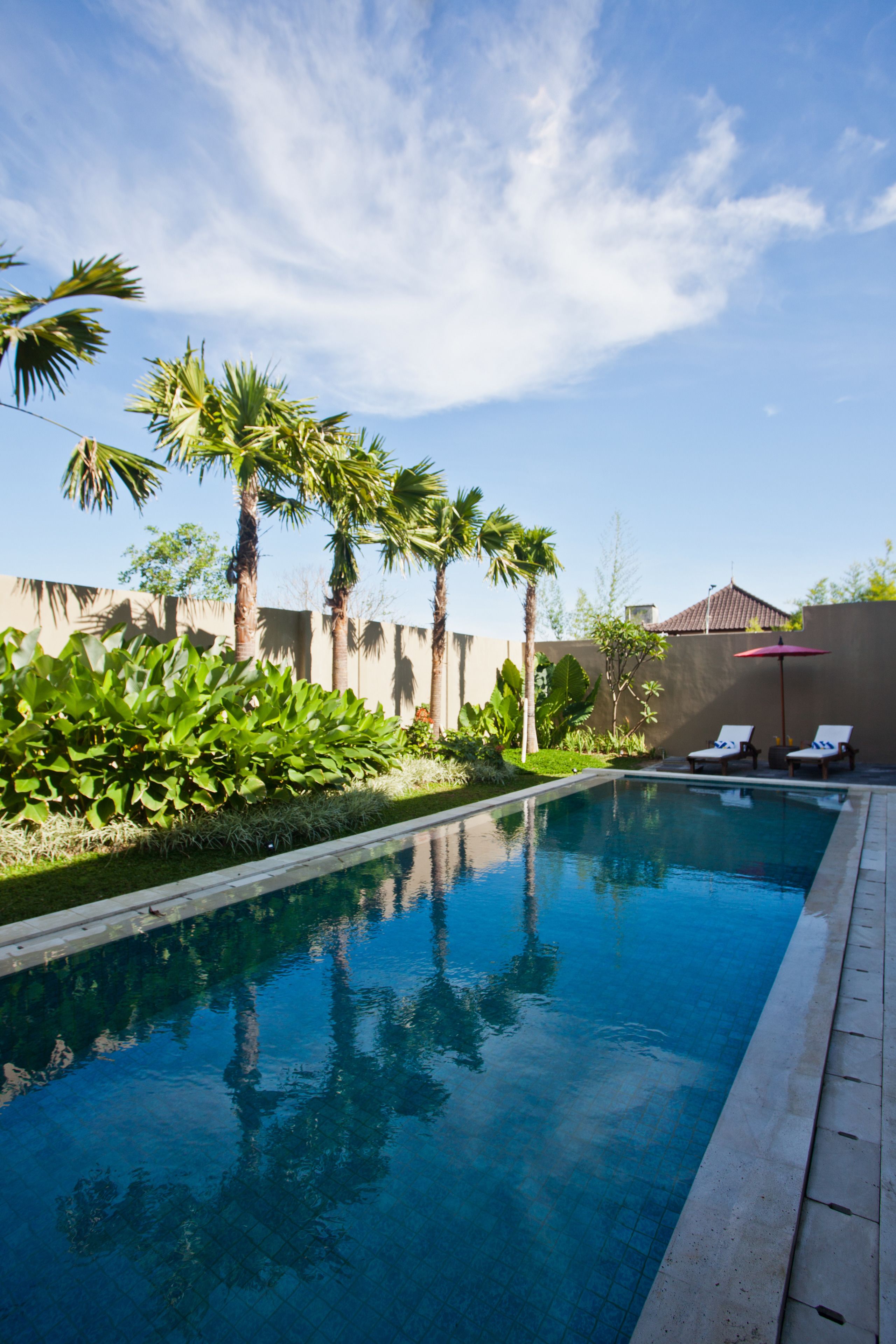 Una piscina con sillas de descanso y palmeras.