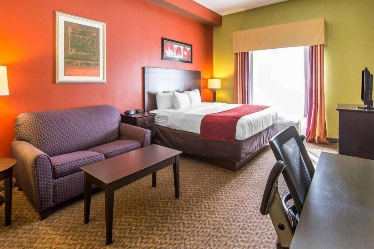 Une chambre d’hôtel comprenant un lit, un canapé, un bureau, une table de chevet, une télévision et une fenêtre avec des rideaux.