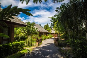 Property grounds - Phowadol Resort (Chiang Rai)