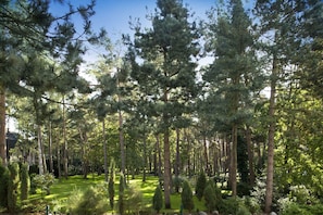 Property grounds - Strandhotel Fischland (Ostseebad Dierhagen)