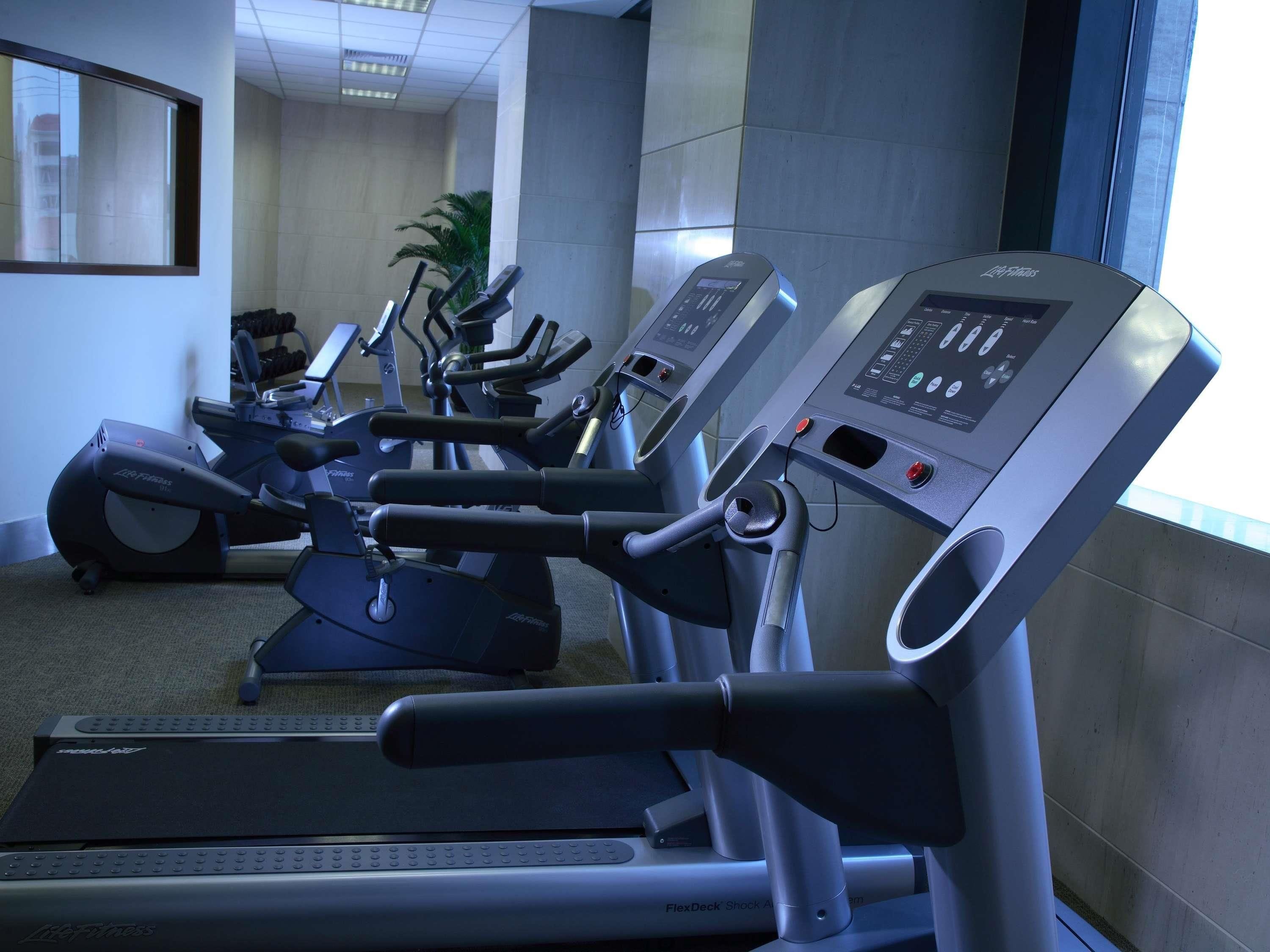 A row of cardio machines in a gym with a large window and a plant in the background.
