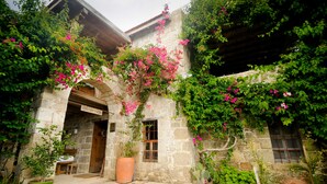 Un edificio de piedra con puerta de madera, una ventana y una maceta grande.