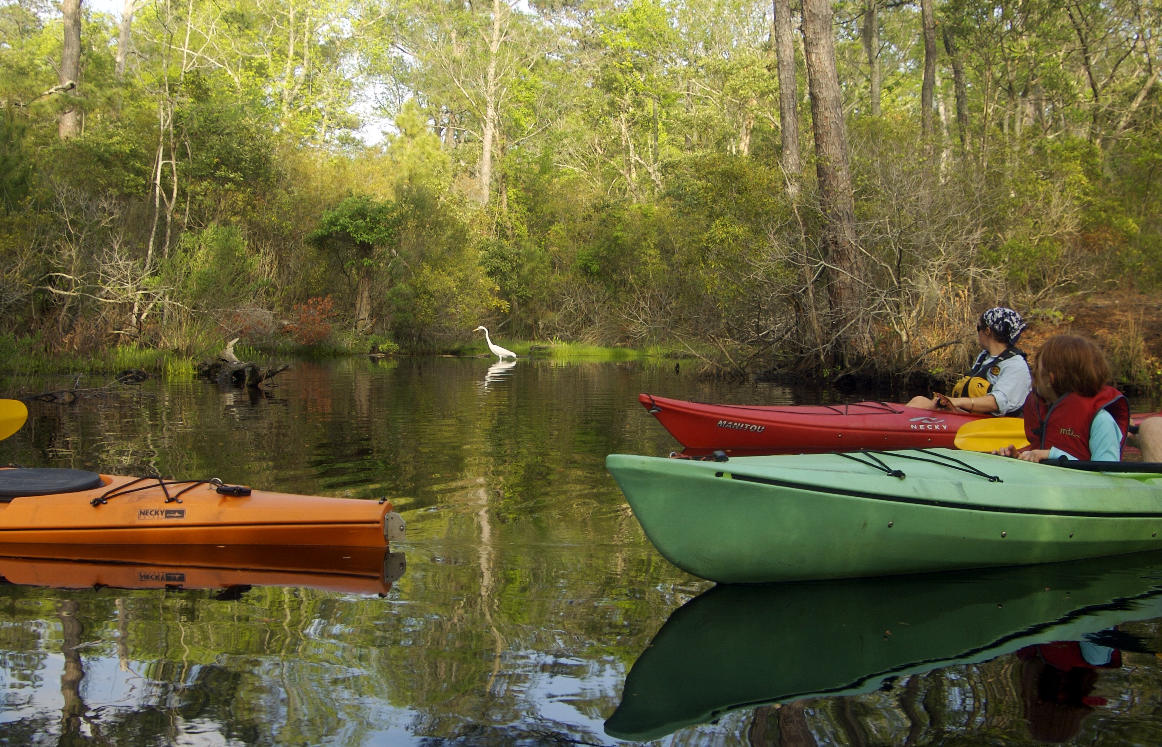Un río tranquilo con kayaks y un pájaro.