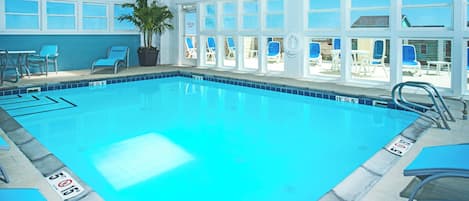 Una piscina interior con agua cristalina, una planta en maceta y varias sillas de descanso.
