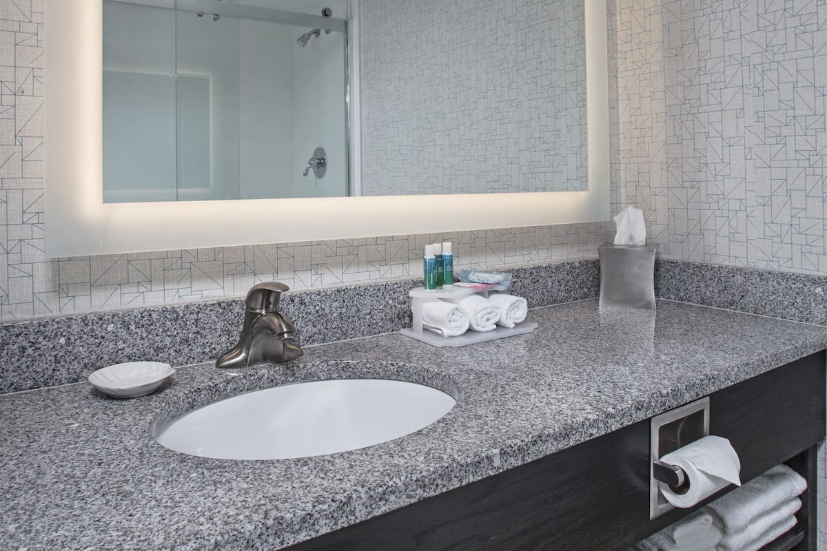 combined shower/bathtub, free toiletries, hair dryer, towels