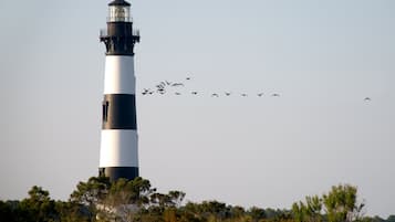 A lighthouse with a clear sky and birds flying in the distance.