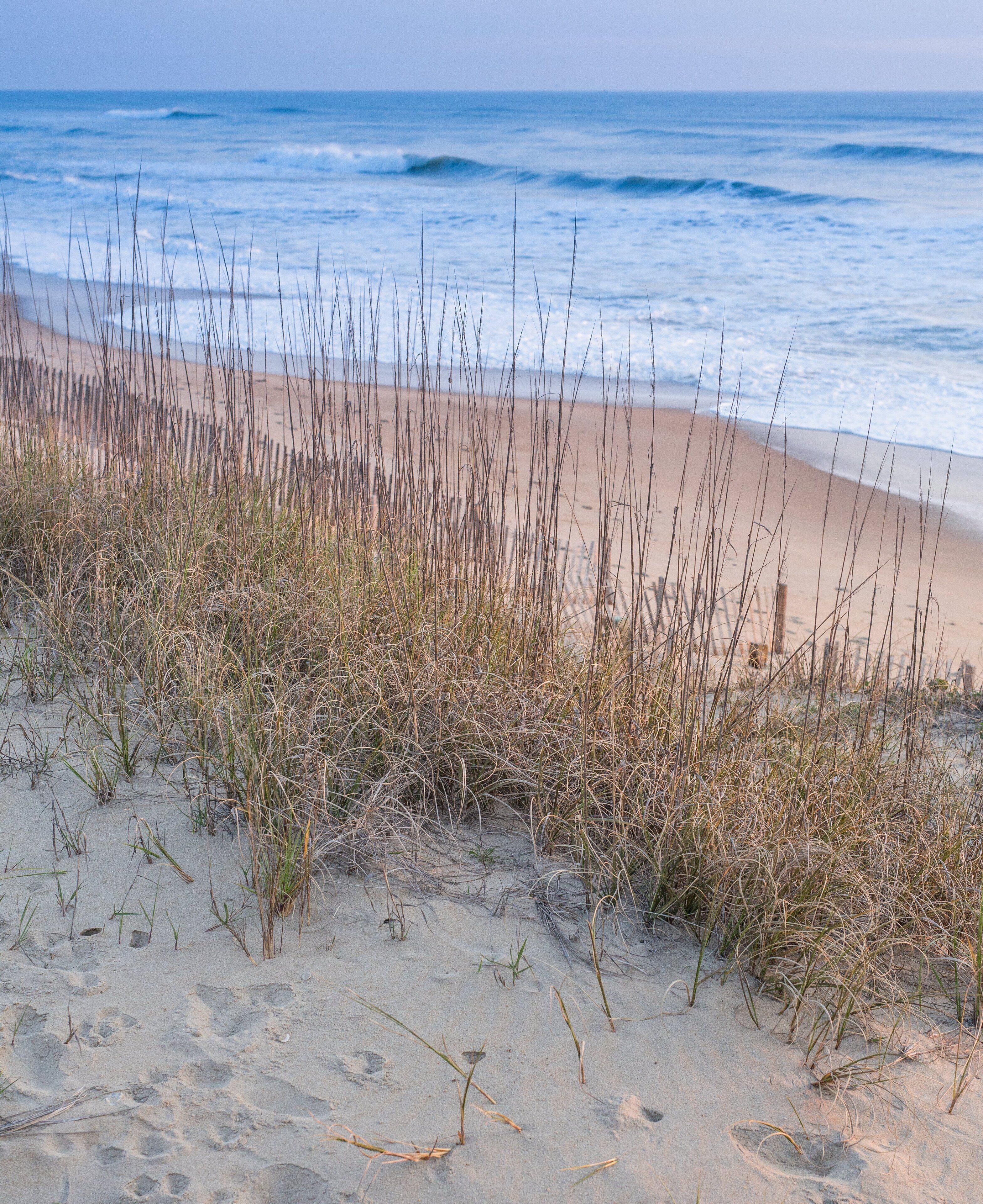 Ein Strand mit Sand und hohem Gras im Vordergrund, der zum Meer führt.
